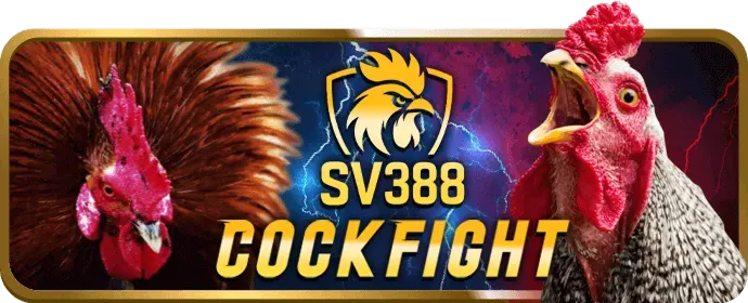 Hỗ Trợ 24/7 Chuyên Nghiệp